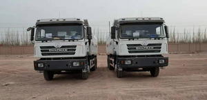 Shacman Tipper-At Port-2